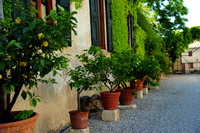 Villa Allegri near Verona