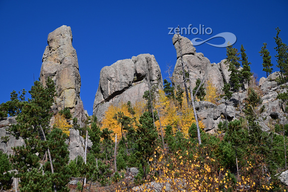 Custer State Park SD