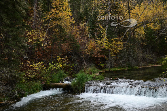 Devil Bath Tub, Spearfish Canyon, SD