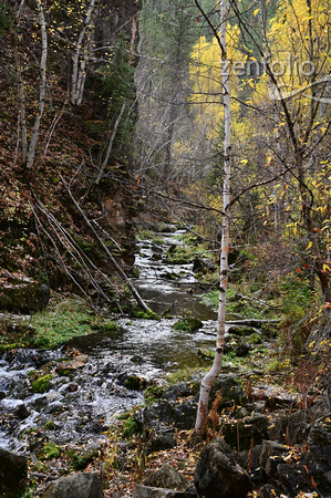 Spearfish Canyon, SD