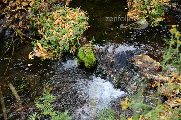 Spearfish Canyon, SD