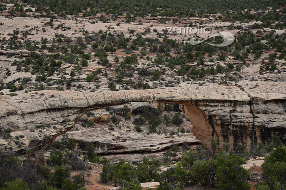 Owachomo Bridge;  Natural Bridges Nat Pk