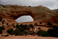 Wilson's Arch south of Moab