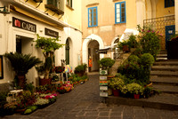 Garden Shop on Isle of Capri