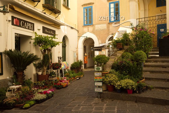 Garden Shop on Isle of Capri