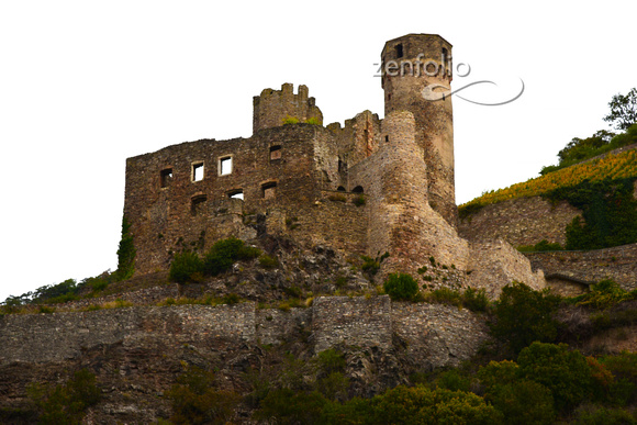Ehrenfels Castle Rhine River