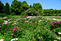 Weihenstephen Gardens on University of Triesdoff near Munich