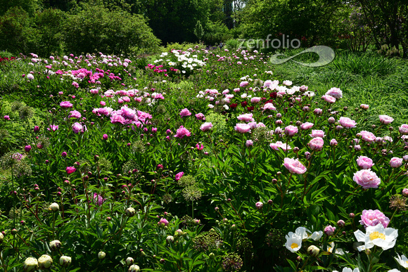 Weihenstephen Gardens on University of Triesdoff near Munich