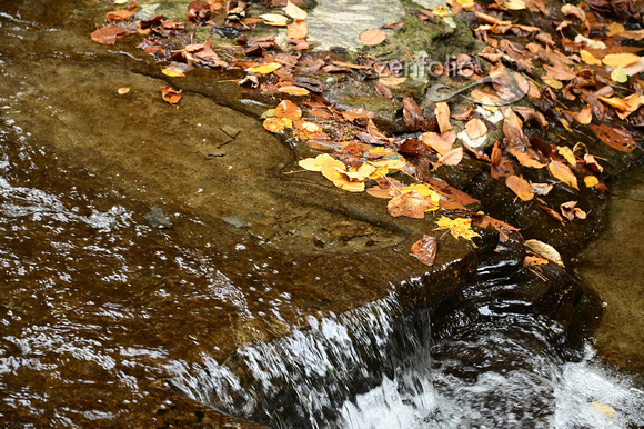 Eagle Cliff Falls NY