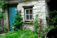 Chelsea Flower Show GB