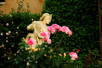 Garden of Palazzo Cappello Malipiero Barnabo in Venice