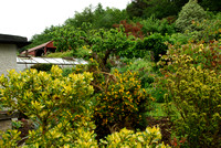 Ireland 2008