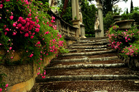 Gardens of LaPietra in Tuscany Hill