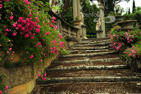 Gardens of LaPietra in Tuscany Hill